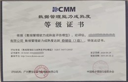 DCMM數據管理能力成熟度評估